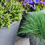 Pottery Pots Natural Bucket ronde plantenbak grijs